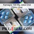 Kamagra 100 Mg Jalea Oral Cómo Usar viagra5